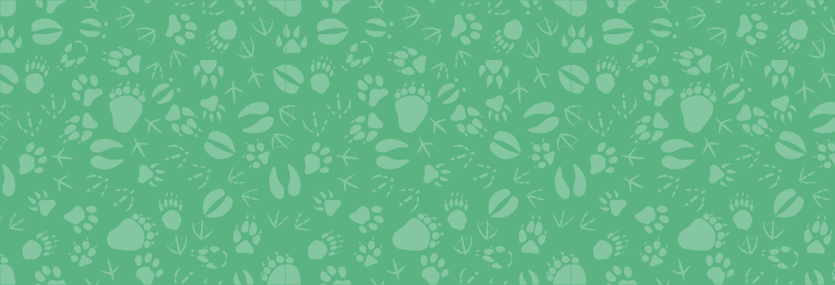 Course header green